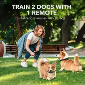 Dog Care TC08 2 Tasmalı Ultrasonic Eğitim Tasması - 2