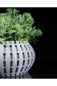 Plodna House Xander Kuru Bitki Saksı Yapay Çiçek Saksı Antrasit - 5