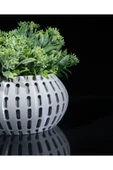 Plodna House Xander Kuru Bitki Saksı Yapay Çiçek Saksı Antrasit - 6