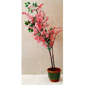 Pembe Çiçekli Ağaç - 1