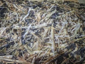 CEZRİ SAZ DESEN  GİZLENME AĞI 1,5X3 thumbnail 2