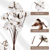 Nettenevime 3lü Set Doğal Pamuk Çiçeği 30 Adet Tekli Dal Kuru Çiçek 30cm Yapay Çiçek - 7