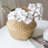 Nettenevime 3lü Set Doğal Pamuk Çiçeği 30 Adet Tekli Dal Kuru Çiçek 30cm Yapay Çiçek - 5