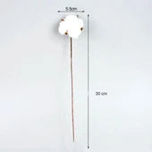 Nettenevime 3lü Set Doğal Pamuk Çiçeği 30 Adet Tekli Dal Kuru Çiçek 30cm Yapay Çiçek - 3