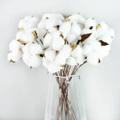 Nettenevime 3lü Set Doğal Pamuk Çiçeği 30 Adet Tekli Dal Kuru Çiçek 30cm Yapay Çiçek - 4