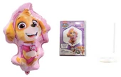 FOLYO BALON PAW PETROL SKYE 26 İNC 4 LÜ SET - 2