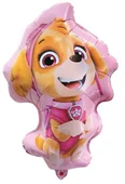 FOLYO BALON PAW PETROL SKYE 26 İNC 4 LÜ SET - 1