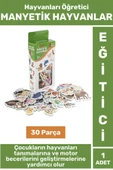 Premium Eğitici Görsel Algı El-Göz Koordinasyonu Hayvanların Öğrenimi 30 Parça MANYETİK HAYVANLAR thumbnail 1
