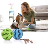 Mama Hazneli Köpek ve Kedi Eğitim Ve Oyun Topu Turuncu - 2