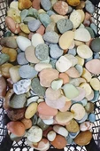 2 Kg Çok Amaçlı Dekoratif Büyük Çakıl Taşı - Doğal Deniz Taşı - 3