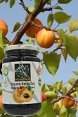 Aşıkzade Organik Kayısı Özü 370 Ml 480 G - 2