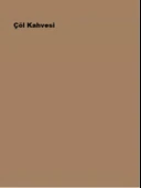 Marshall Silikonlu Özel Mat Çöl Kahvesi 0,75lt (1 Kg) - 2