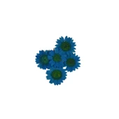 Preslenmiş Kurutulmuş Papatya Çiçek Bitkiler Epoksi Reçine Kolye Takı Papımı (5 Adet)  Saks Mavi - 1