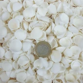 Clam Rose Cochles -Orta Deniz Kabuğu (100 GR) - 1