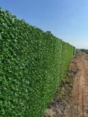 ( 120 cm x 12 mt ) Çim çit yeşil bahçe çiti çit teli örgü teli thumbnail 1