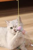 Pribor Tırtıl Kedi Oyuncağı, Kendinden Yapışkanlı, Zilli, Elastik İpli, Asılı Kedi Oyuncağı - 7