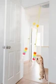 Pribor Tırtıl Kedi Oyuncağı, Kendinden Yapışkanlı, Zilli, Elastik İpli, Asılı Kedi Oyuncağı - 8