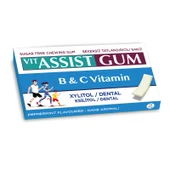 VIT ASSIST GUM VİTAMİNLİ NANE AROMALI SAKIZ 12 Lİ  İÇ ADETİ - 1