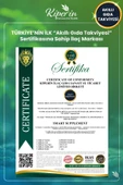Kiperin Postbiyotik 210 Milyar Cfu Rhamnosus & Plantarum Sindirim (21Kapsül & 700mg) | Akıllı Gıda Takviyesi - 8