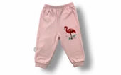 Eterelle 3-6 6-9 9-12 Ay Flamingo Nakışlı Uzun Kollu Sweatli 2li Kız Bebek Takımı Ekru - 3
