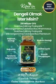 Kiperin Postbiyotik 210 Milyar Cfu Rhamnosus & Plantarum Sindirim (21Kapsül & 700mg) | Akıllı Gıda Takviyesi - 2