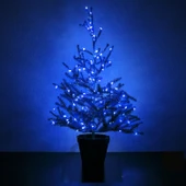 10 METRE MAVİ PİLLİ LED IŞIK MAVİ LED IŞIK MAVİ YILBAŞI AĞACI IŞIĞI MAVİ NOEL IŞIĞI 100 LEDLİ MAVİ LED IŞIK 100 LEDLİ PARLAK CANLI LED IŞIK thumbnail 5