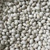 YERLİ OTURAK ŞEKER FASULYE TOHUMU 100 GR thumbnail 2