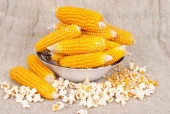 Yerli Patlayan Mısır Tohumu - 50 Gr (Ort 250 Ad Tohum) - 1