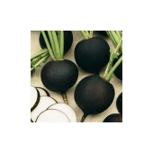 Yerli Siyah Turp Tohumu 25 Gr (Ort 2250 Ad Tohum) - 1