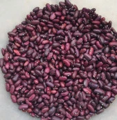 YERLİ TOKAT KIZILI SIRIK FASULYE TOHUMU 100 GR thumbnail 1