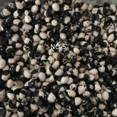 YERLİ AYŞE KADIN SIRIK FASULYE TOHUMU 100 GR (SİYAH BEYAZ) thumbnail 1