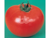 DOMATES TOHUMU 2121 25 GR ORT 6250 ADET TOHUM thumbnail 2