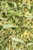 Ihlamur 1 kg (1000 gr) -  ( Doğal Kurutulmuş, Elenmiş, Katkısız ) - 3