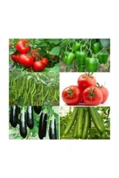 YERLİ 500 ADET SEBZE TOHUMU SETİ +10 LT TORF thumbnail 1