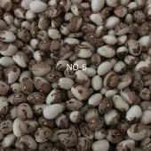 YERLİ AYŞE KADIN SIRIK FASULYE TOHUMU 500 GR (KAHVE ÇİZGİLİ BEYAZ) - 1