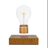 Flyte Light Edison Dekoratif Lamba Tabanı thumbnail 1