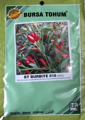 BİBER TOHUMU BURBİYE (SÜS BİBERİ OVAL ACI) 25 GR ORT 3000 ADET thumbnail 1
