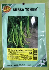 BİBER TOHUMU İNCE SİVRİ KIL ACI (25 GR 3000 ADET TOHUM) thumbnail 1