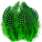100 PCS DECOR GREEN BIRD FEATHER 100 ADET PUANTİYELİ YEŞİL SİYAH KUŞ TÜYÜ DEKOR YEŞİL KUŞ TÜYÜ - 1