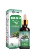 Nutribio Adaçayı Yağı 10 ML - 1