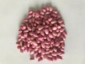 GİNA OTURAK FASULYE TOHUMU 500 GR thumbnail 1