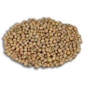 YERLİ SOYA FASULYESİ TOHUMU 100 GR thumbnail 1