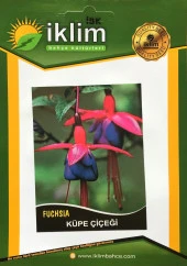 KÜPE ÇİÇEĞİ TOHUMU TAKRİBİ 50 ADET TOHUM - 1