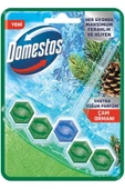 Domestos Tuvalet Bloğu Çam Ferahlığı 50 gr - 1