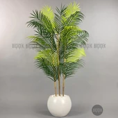 120cm Areka Ağacı 24 yapraklı Küre Saksıda - 7