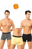 Looksense Erkek Dude 3 lü Düz Likralı Boxer  1605 thumbnail 1