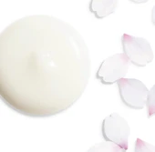 Shiseido White Lucent Illuminating Micro-Spot Serum - Aydınlatıcı Serum 50 ml - 3