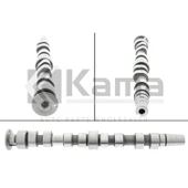 036109101AC EKSANTRİK MİLİ EMME VW GOLF-4 / BORA / POLO / SEAT CORDOBA / SKODA FABIA (AHW/BBY/BKY/BBZ/BCB/1.4 16V) 02-10 İTHAL - 1