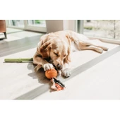 Beeztees İpli Turuncu Top Köpek Oyuncak 31,8x7,9x7,9 cm - 2