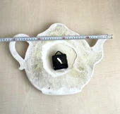 POLYESTER PİLLİ DUVAR  SAATİ SORUNSUZ - 5
